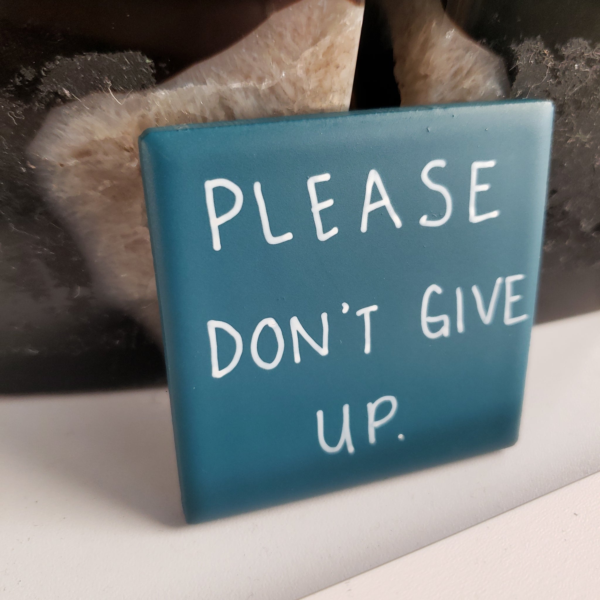 please don't give up. (Magnet)